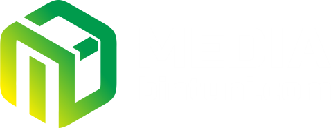 Media Bintuni